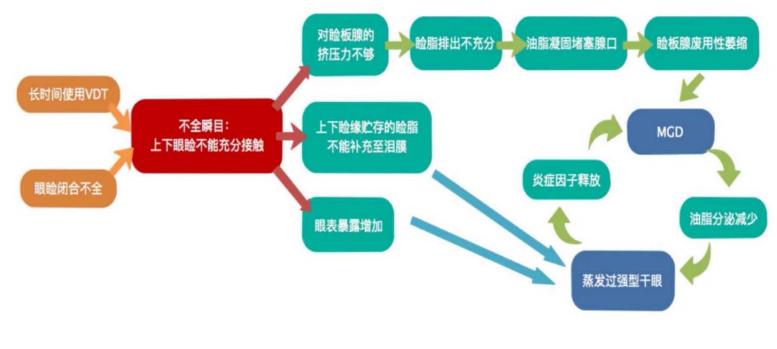 眼睛总是流泪模糊是白内障吗,眼睛总是流泪是红眼病吗