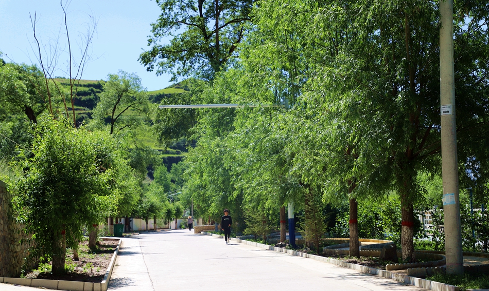 杨家山美丽乡村建设,武山杨河镇乡村振兴