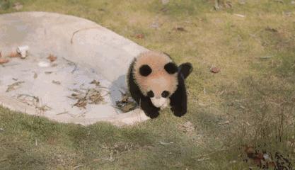 留学培训机构的套路,留学陷阱大揭秘