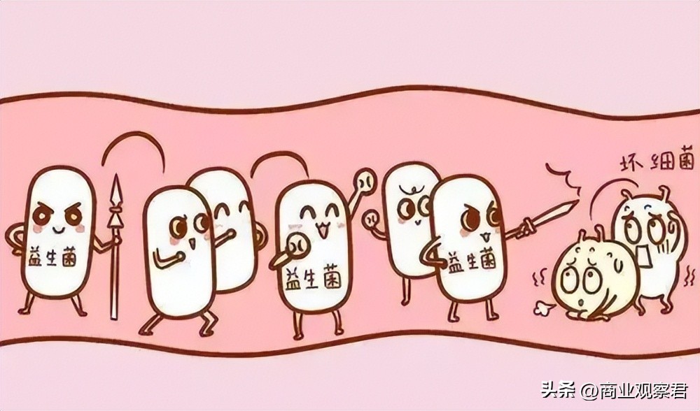 品牌月神益生菌,月神益生菌官网