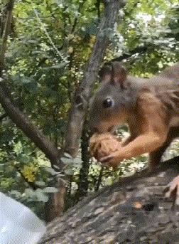 48岁林志玲打扮越来越像日本贵妇,林志玲日本范十足