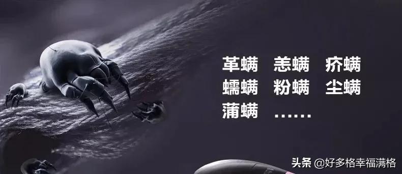 乳胶床垫对螨虫有怎样的杀伤力,乳胶床垫真的可以防螨虫吗