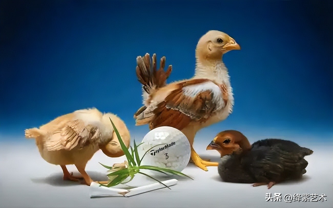 超写实的油画是一点点抠出来的,十大最逼真的写实油画