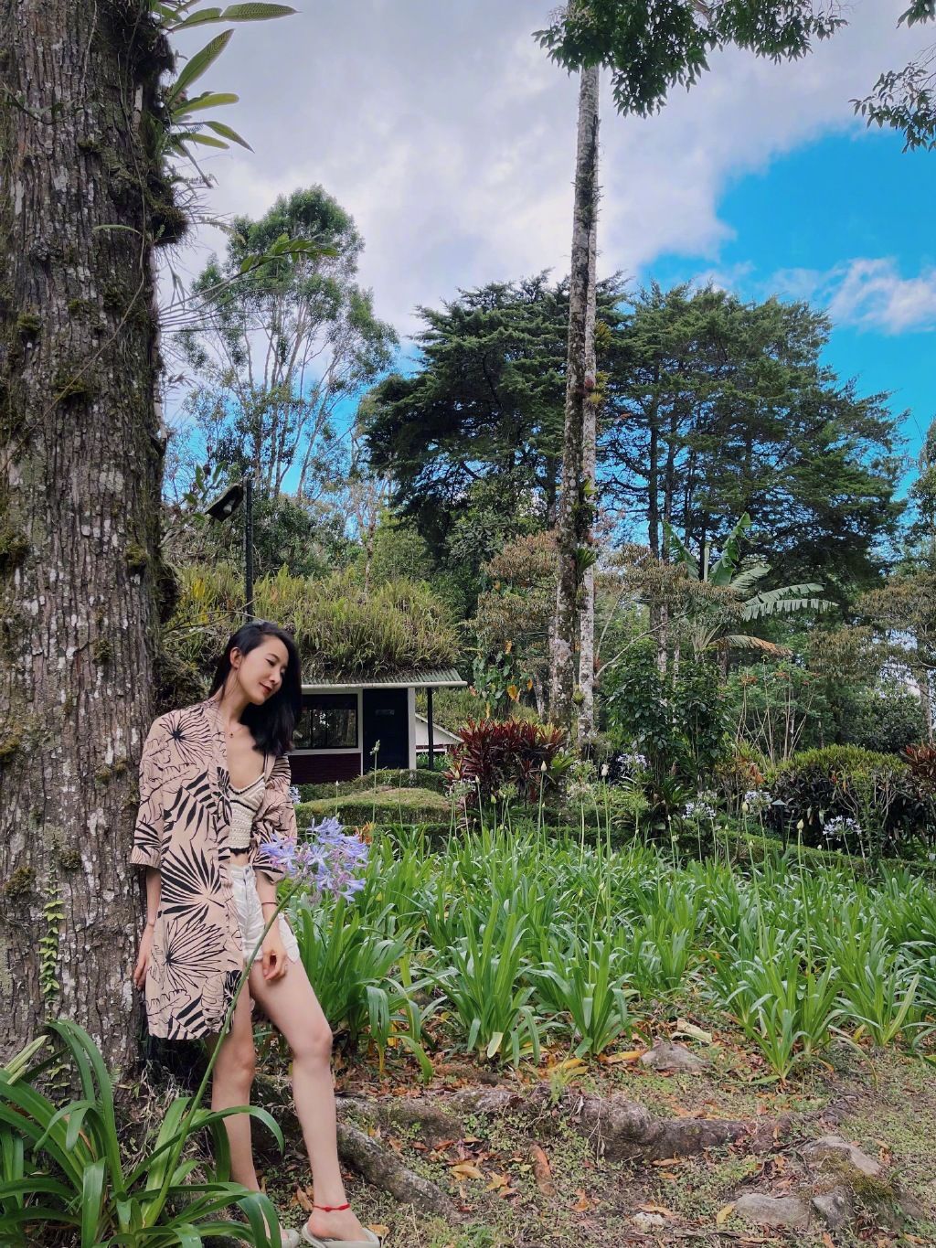 陈赫的前妻现状,陈赫的前妻个人资料