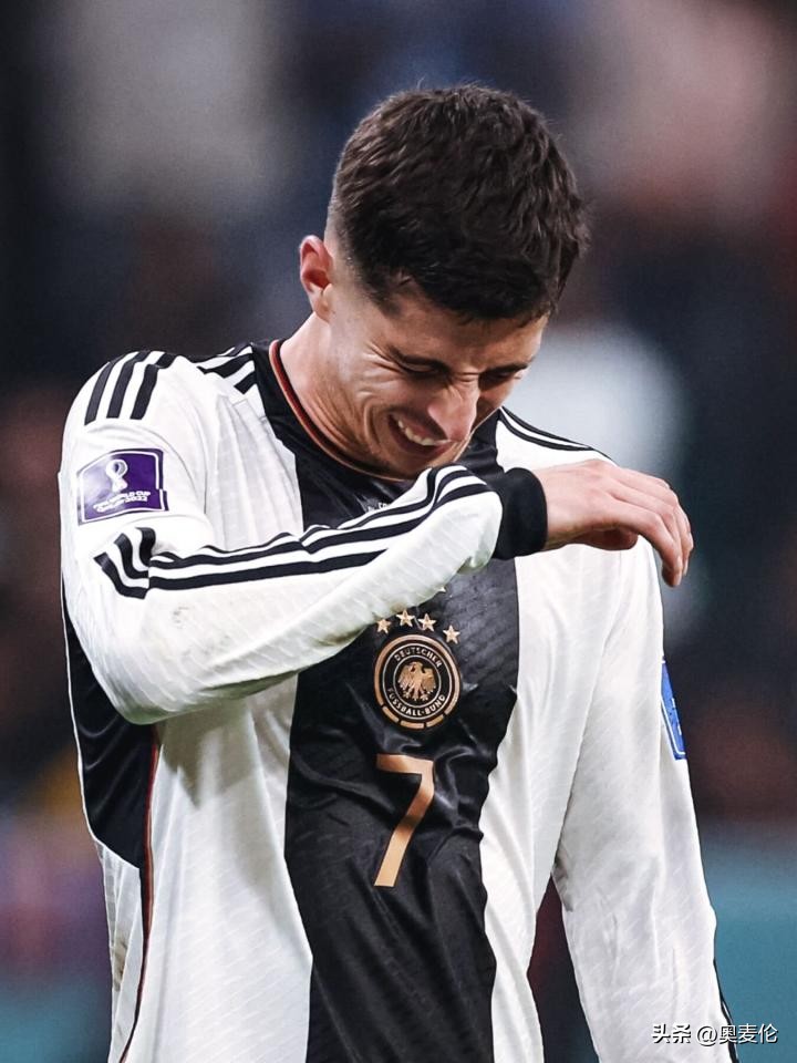 波斯湾的故事免费观看,波斯湾的故事完整