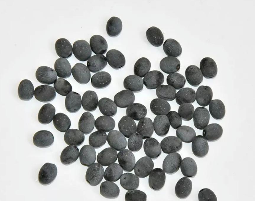 什么类型的中医治疗肾问题,中医治肾以什么为本