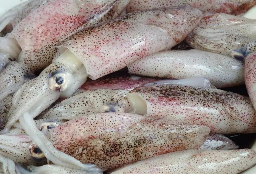 如何挑选冰冻好的小海鲜,最实用的各种海鲜做法都在这里啦