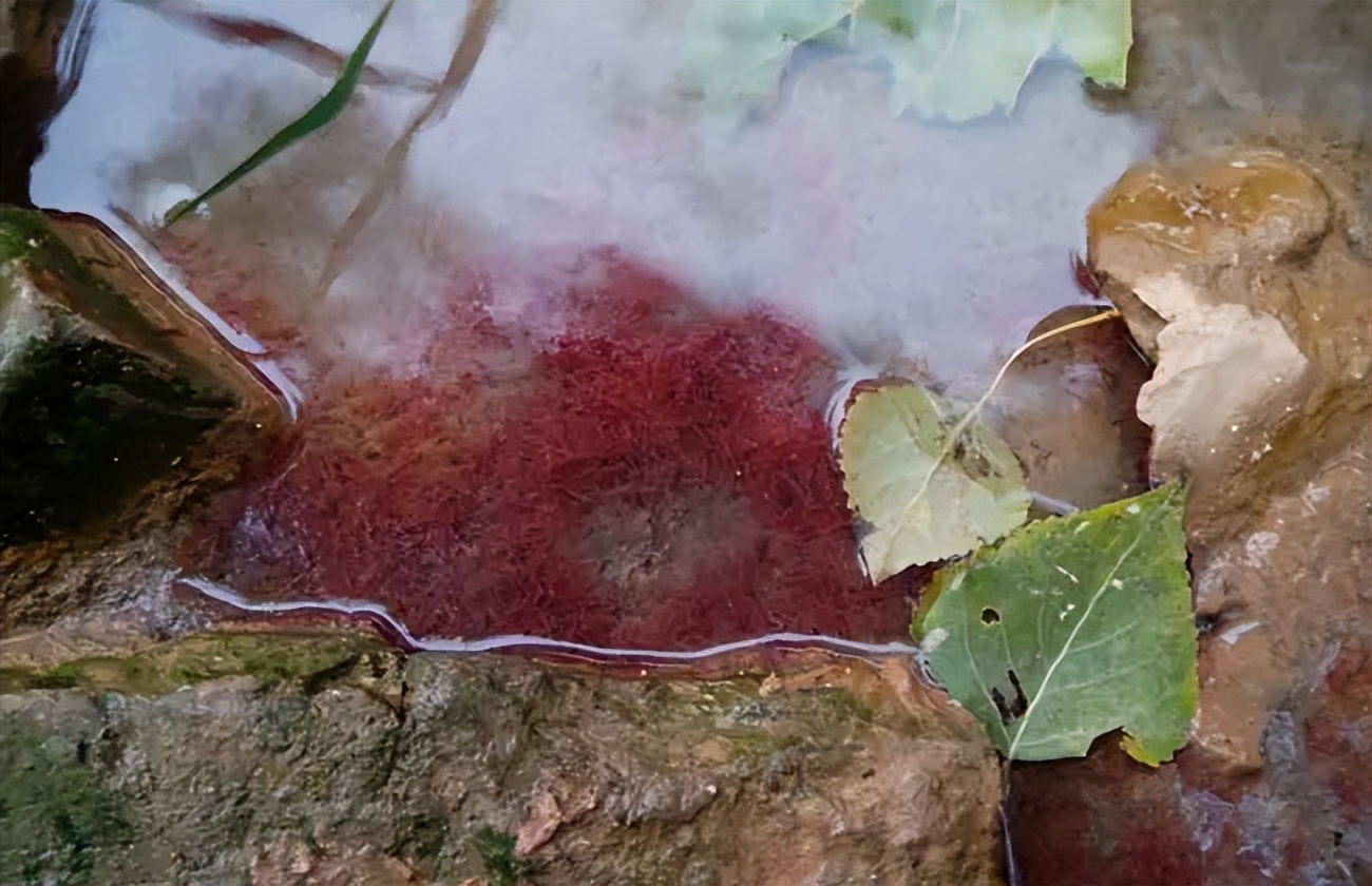 臭水沟捞黄金,臭水沟赚上亿