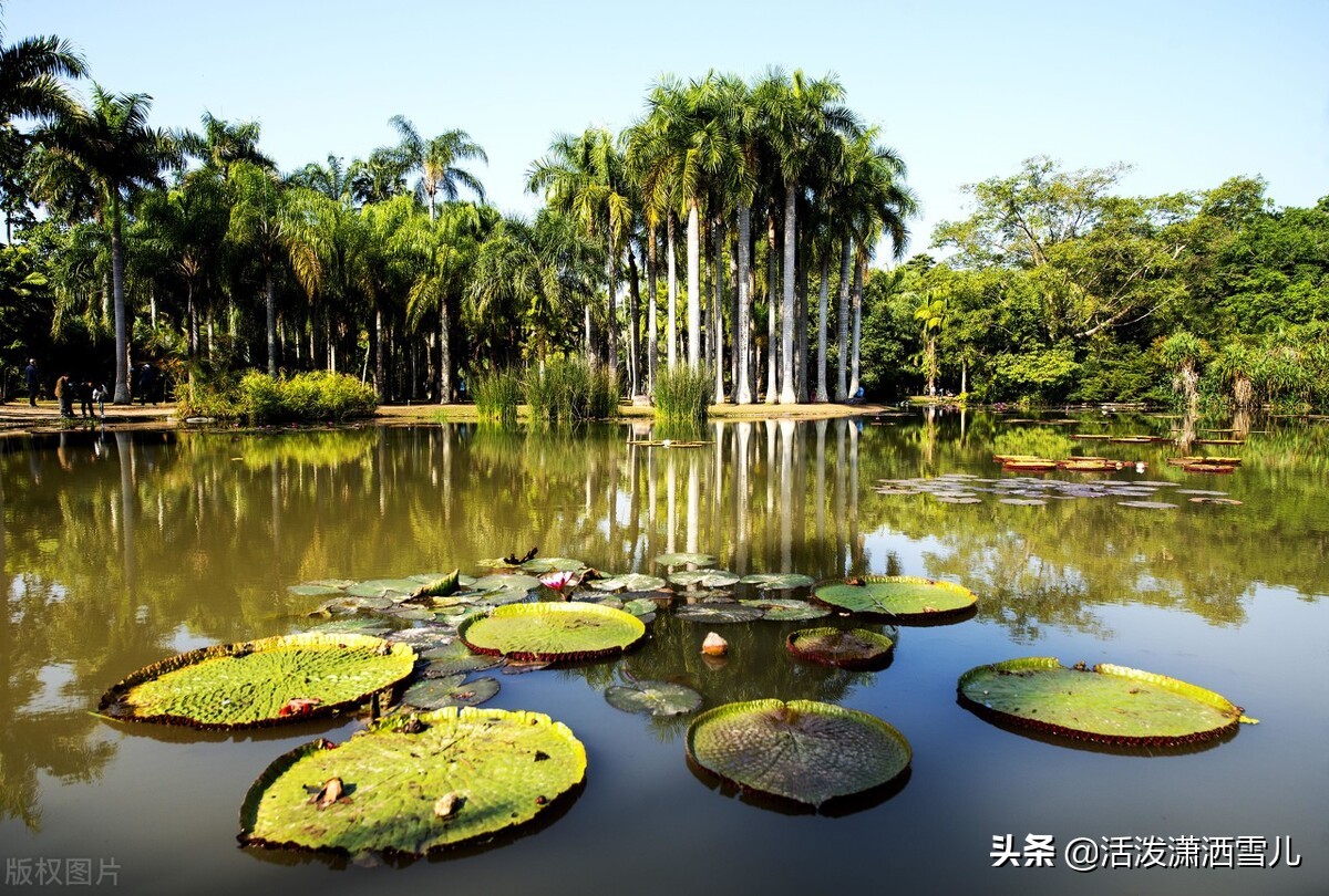 感受一下西双版纳的异域风情,西双版纳为什么有异国风情