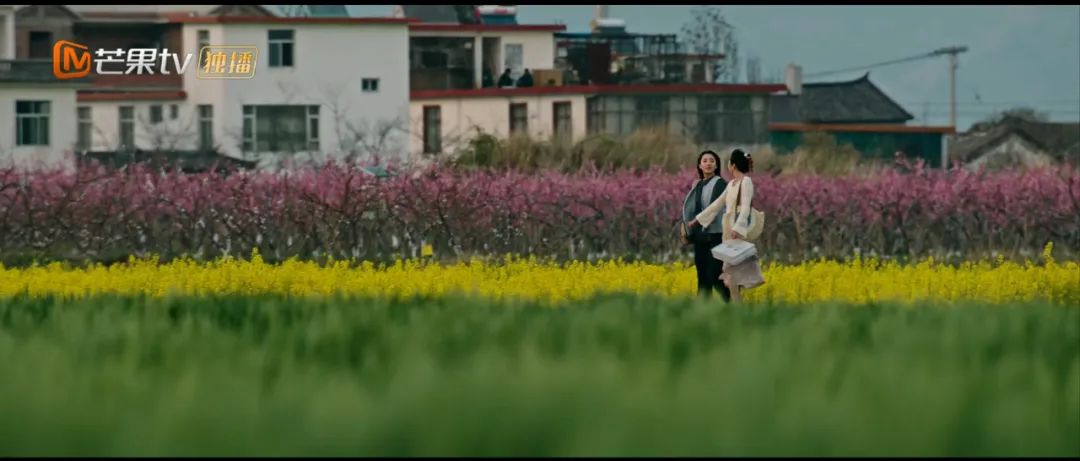 一起去有风的地方夏天,一起去有风有海的地方