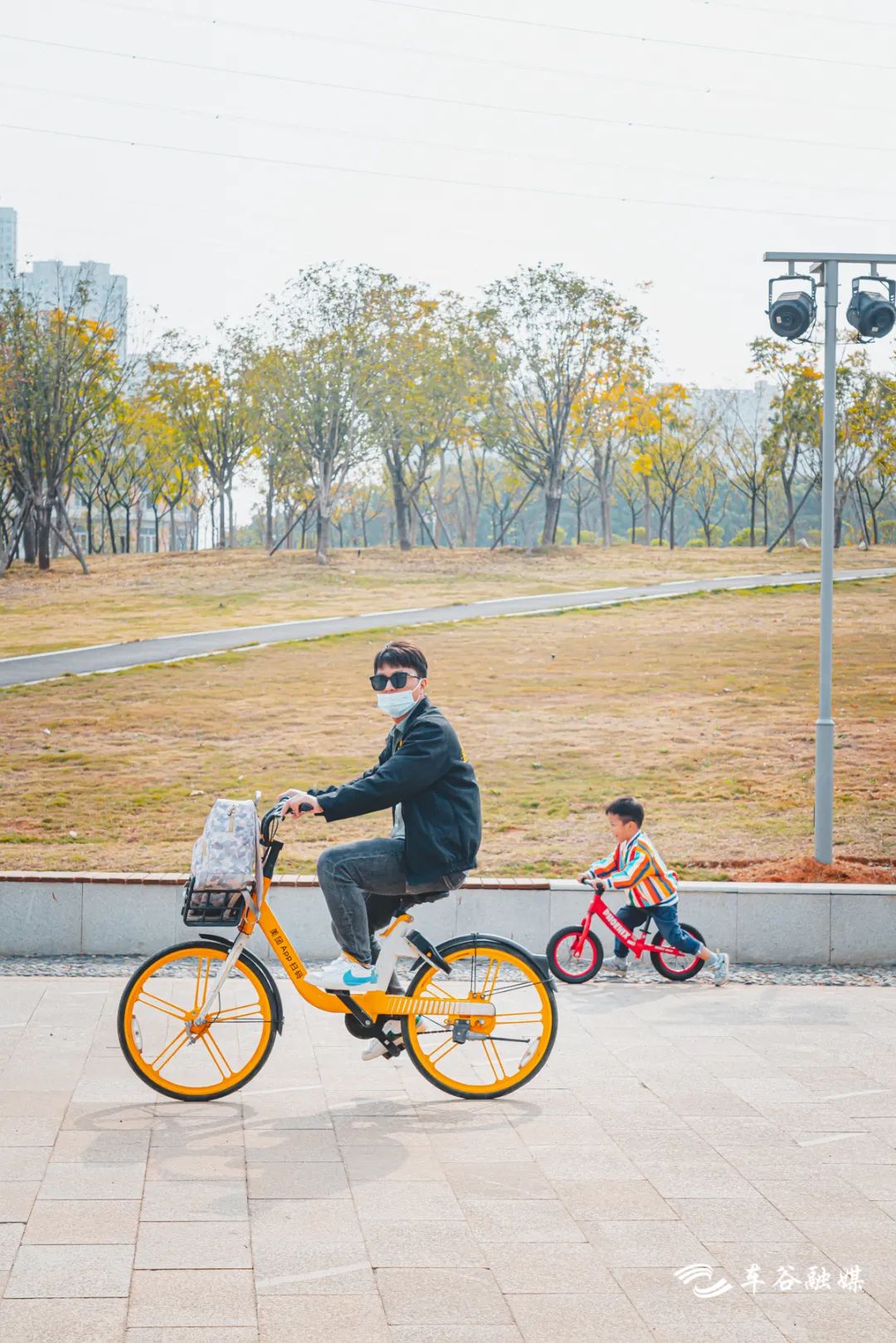 秋日暖阳骑行绿道,骑车绕城绿道值得打卡的推荐