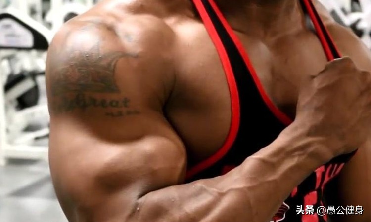 如何让上臂肌肉变大,怎么练上臂变粗壮