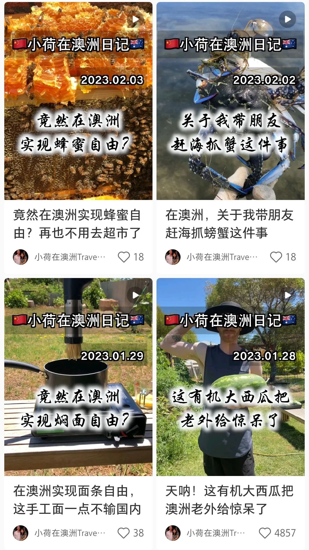 90后小荷在澳洲:环游26国,在990平房子里,种菜喂鸡养蜜蜂