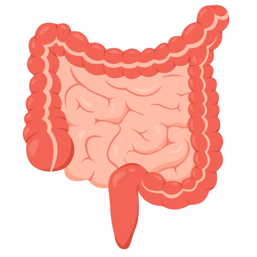 中风后长期便秘怎么办,卒中后排便困难