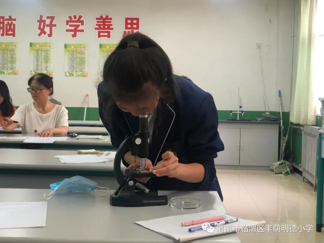 江苏省小学科学实验大赛,童心探科学逐梦创未来一等奖