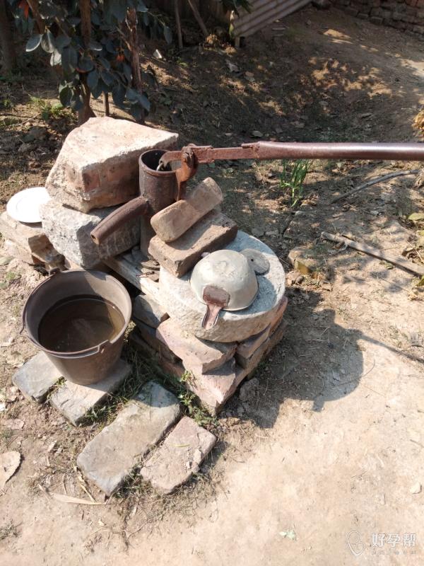 打破山东省小麦高产纪录,河南省今年小麦亩产最高纪录