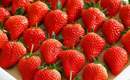 丹东草莓罐头,丹东草莓直播