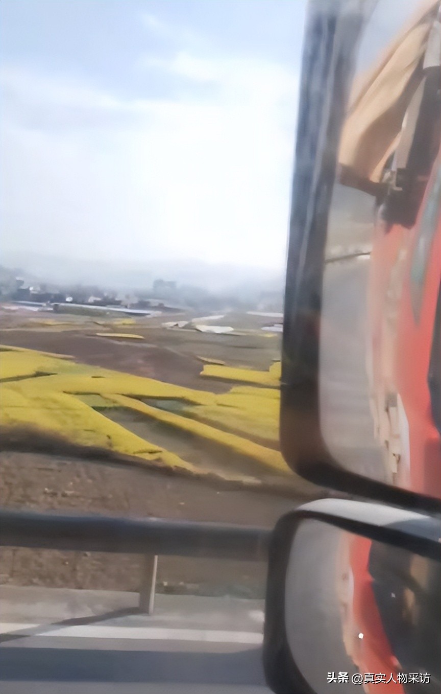 种石榴一亩收入多少钱,种10亩石榴一年收入