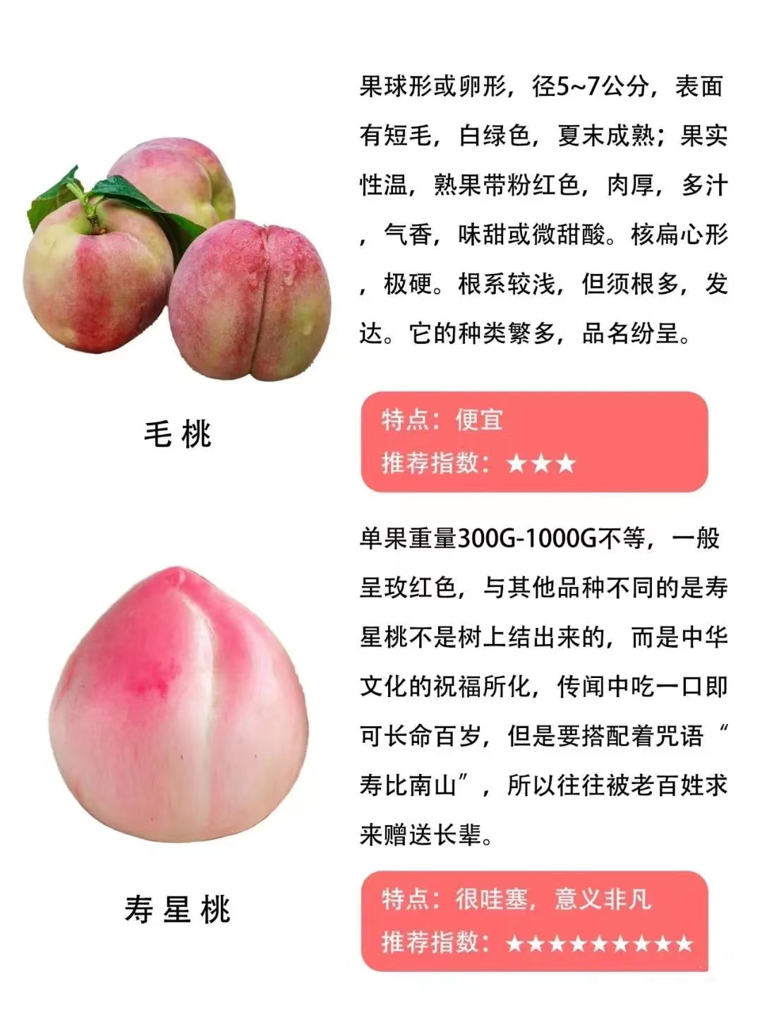 桃子品种大全及介绍,常见桃类的种类及特点