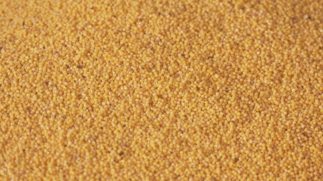 辛巴开启直播带岗招聘新模式，通辽：奈曼山嘴小米直播专场启动