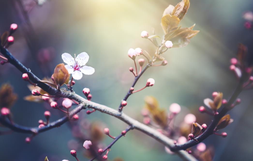 今年春分那天日子好吗,今年春分