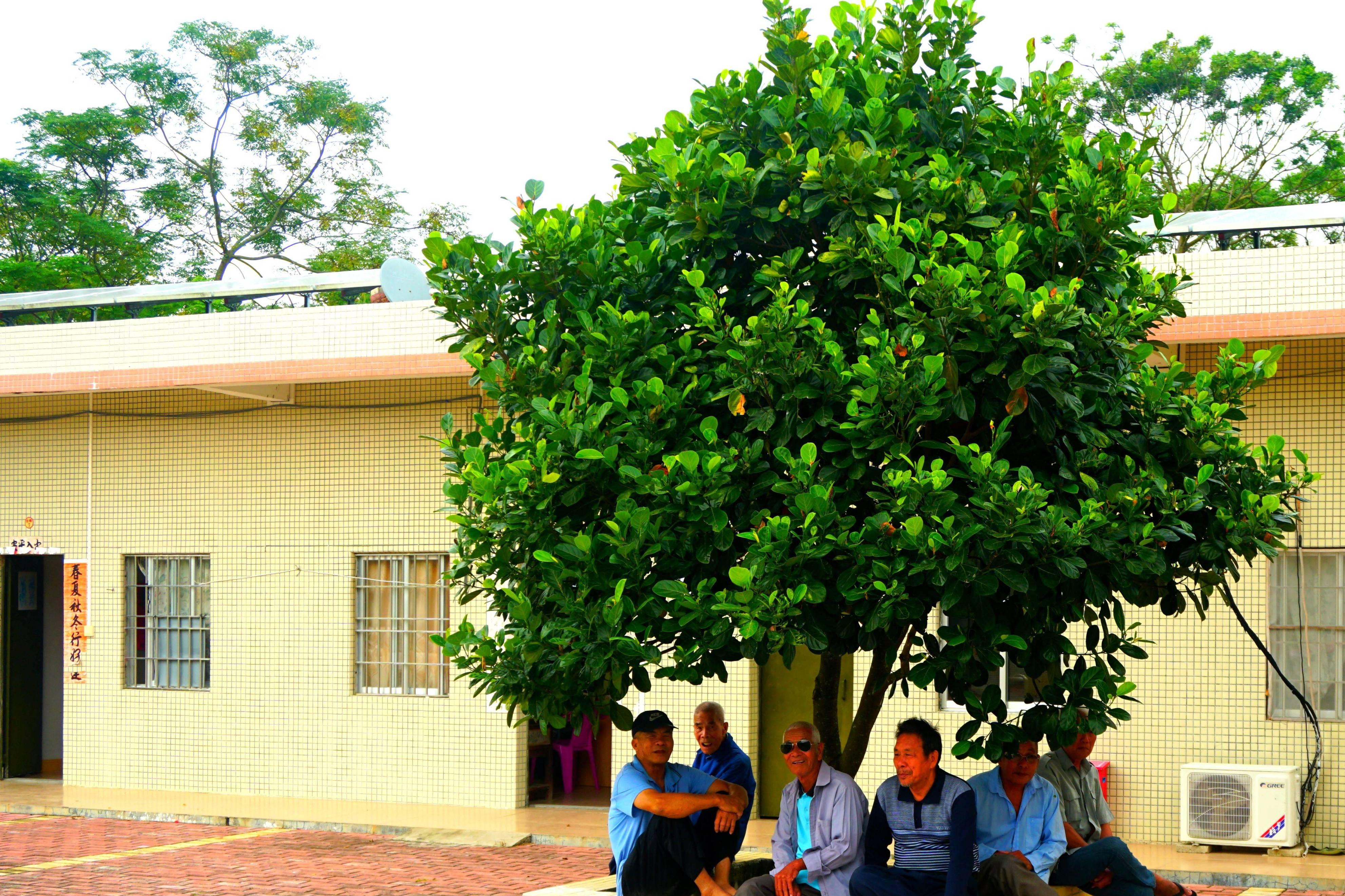 外省人采访眼中的广东,作为一个记者的感悟