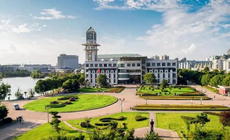 湖北大学进步神速,湖北省武大华科名次