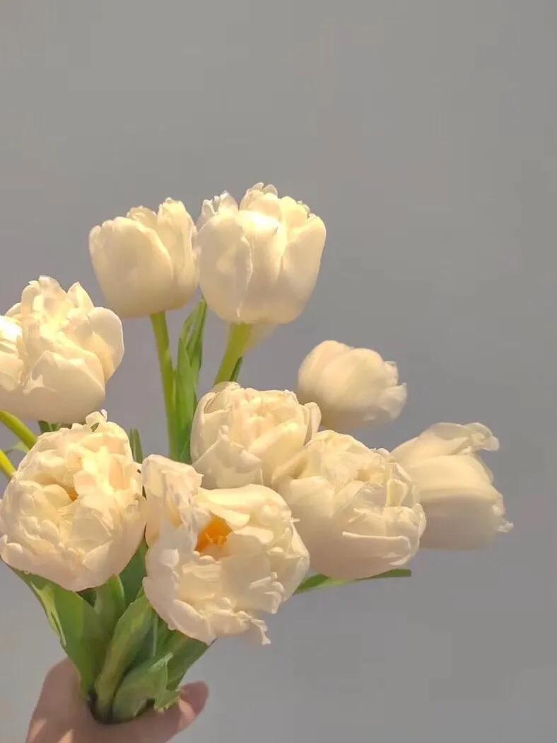 喜欢一个在酒吧工作的女孩怎么办,酒吧工作的女人