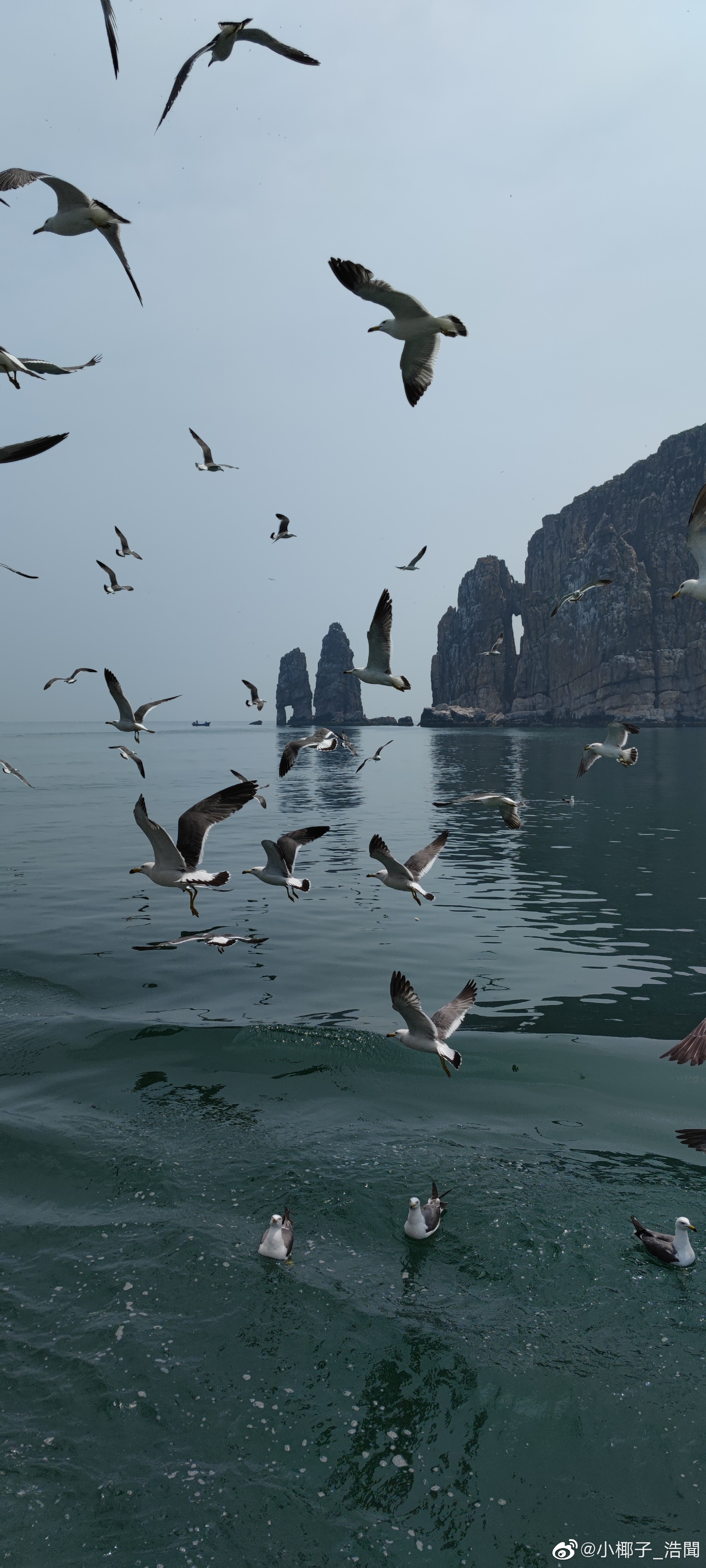 暑假十天山东半岛沿海亲子自驾游记，有详细花费记账