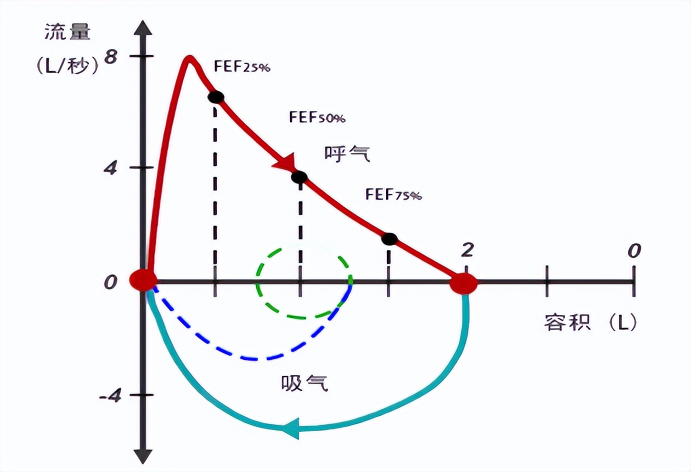 血液检查肺功能看哪些指标,肺功能检查指标及其临床意义