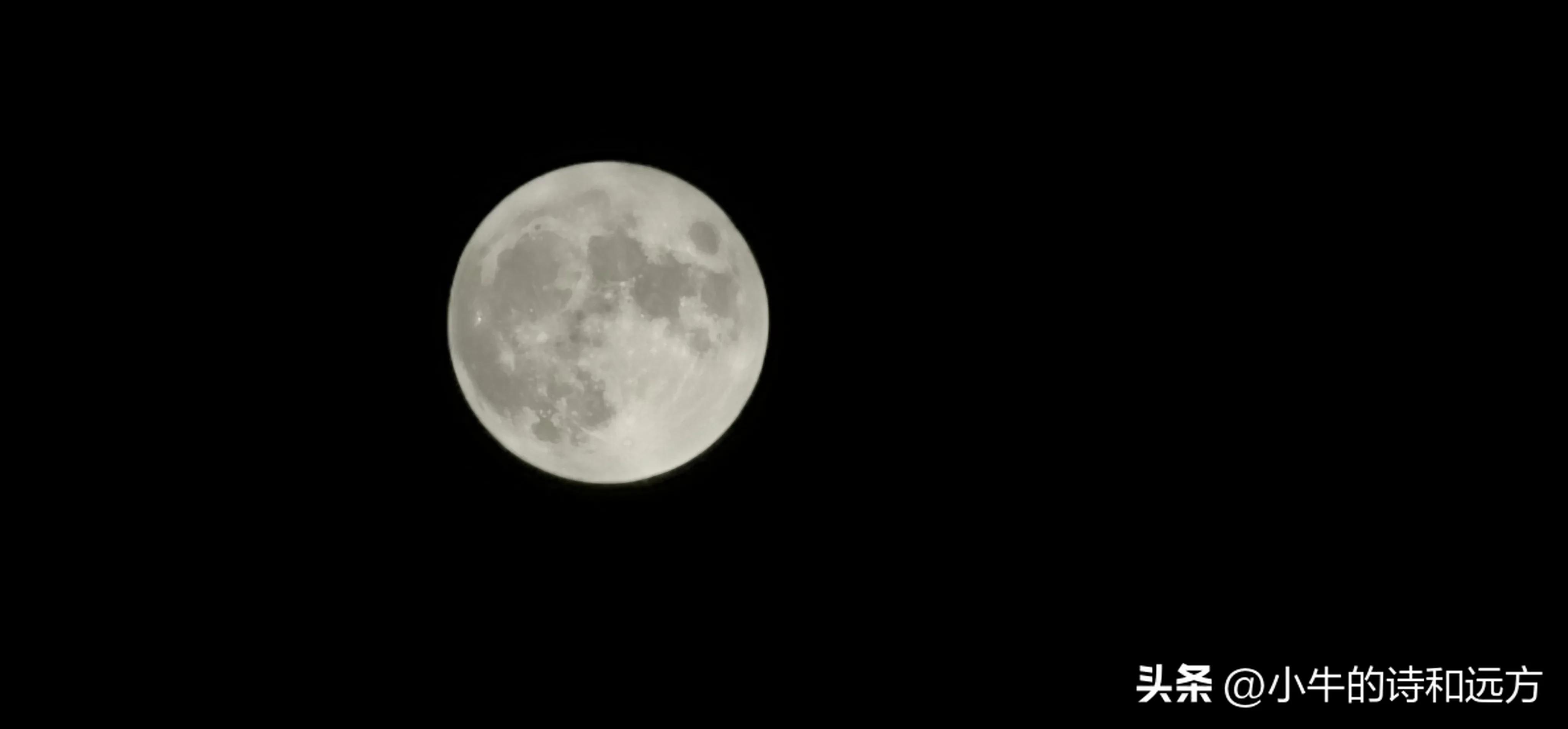 溜娃好去处就在紫谷萌宠乐园,青龙湖湿地公园遛娃攻略