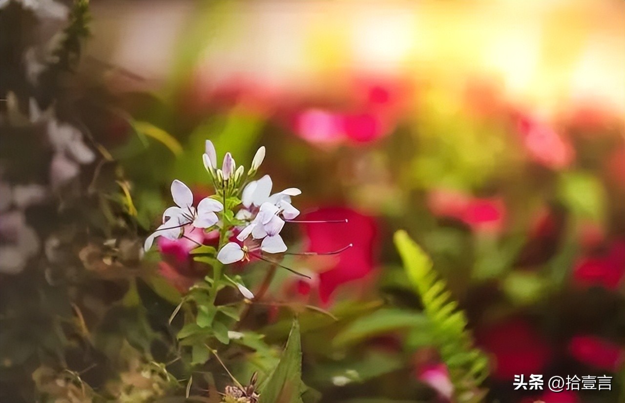 被人算计后，最聪明的做法，不是打击报复，而是这么做