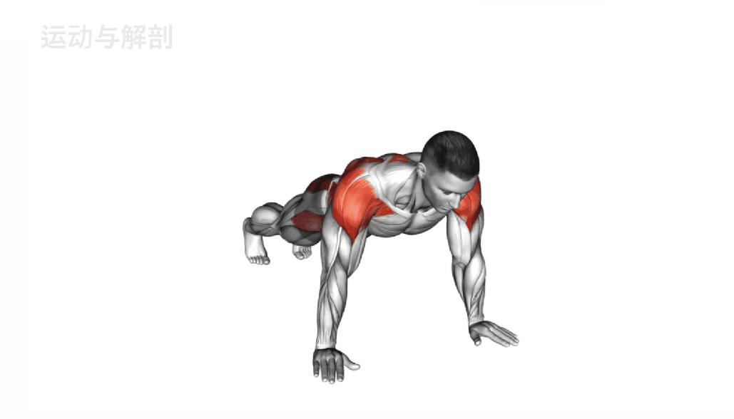 零基础居家健身动作教学,家庭健身动作教程动图