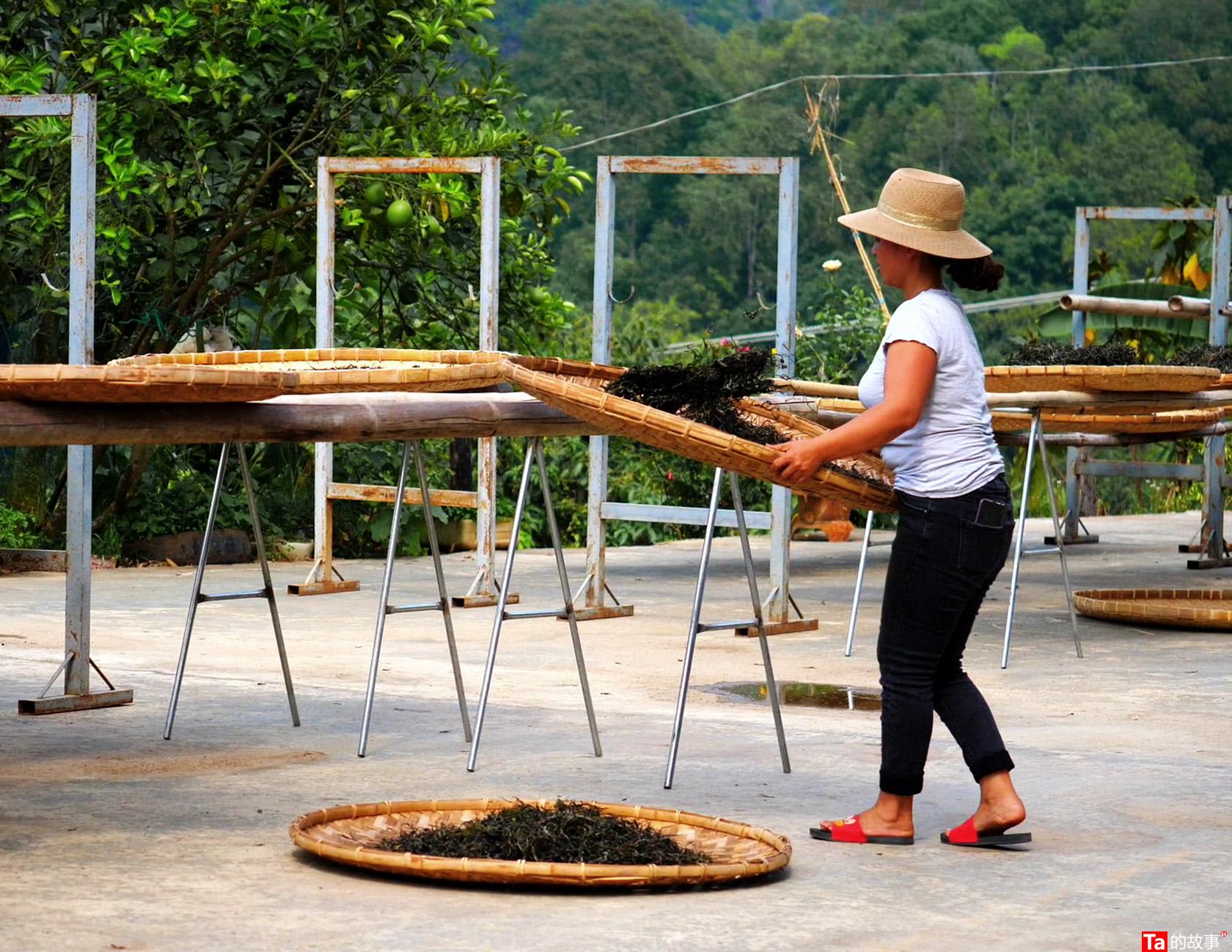 中茶黑茶哪款最好喝,黑茶好还是铁观音茶好