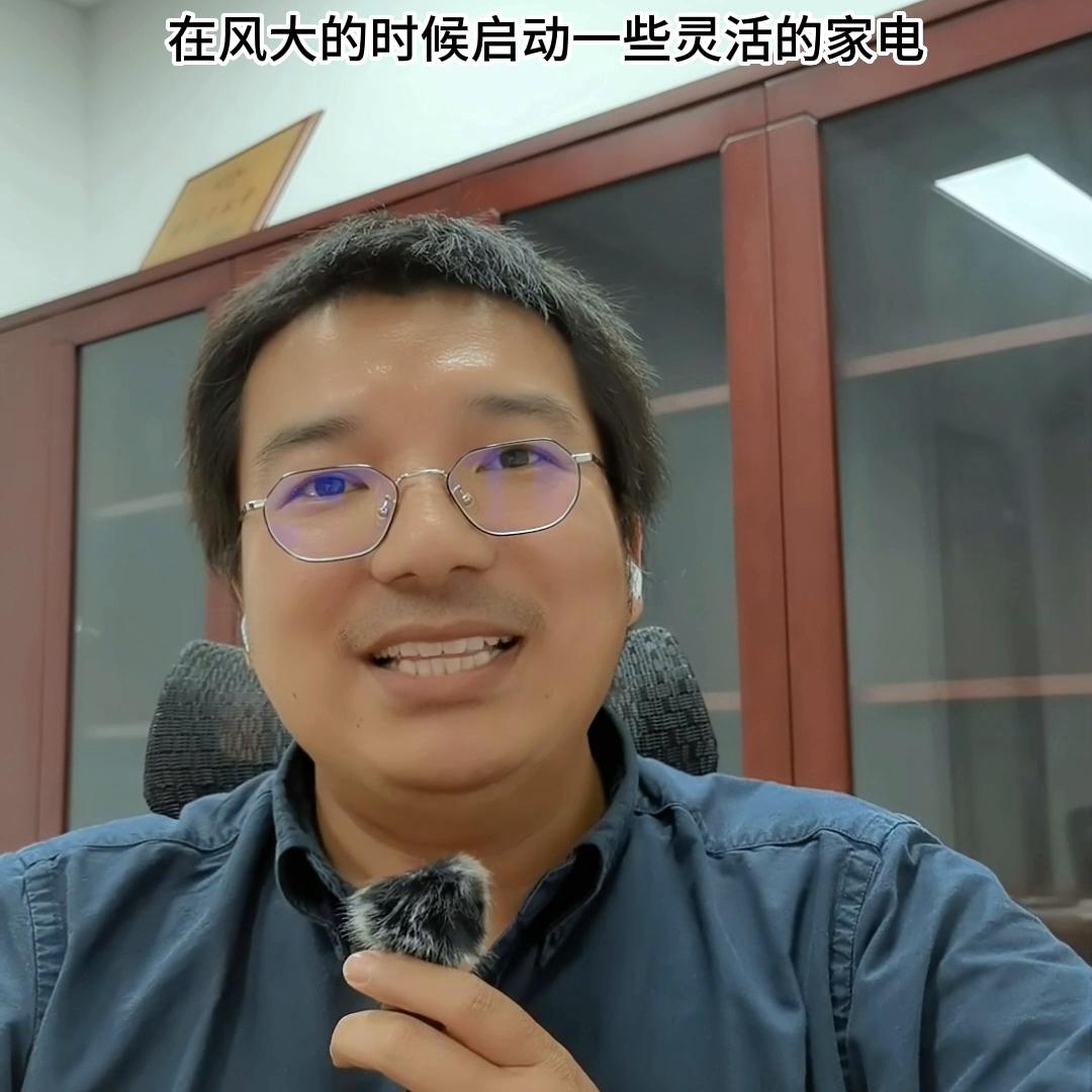 电力现货市场出现负电价,电力现货市场负电价