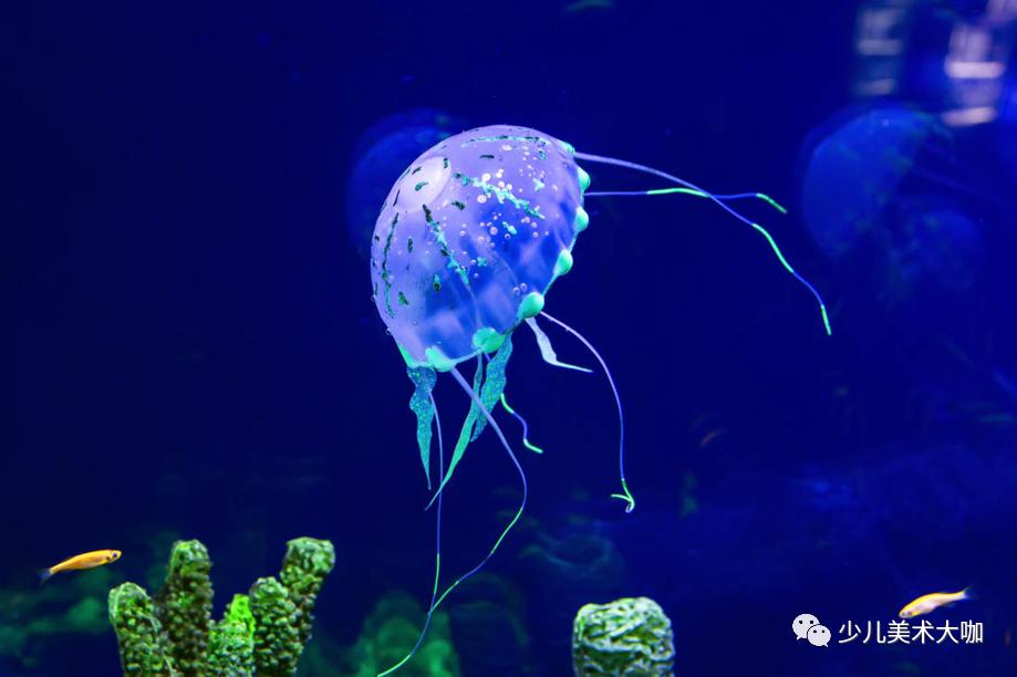 深海鱼群美术课件,深海里的鱼群美术教案