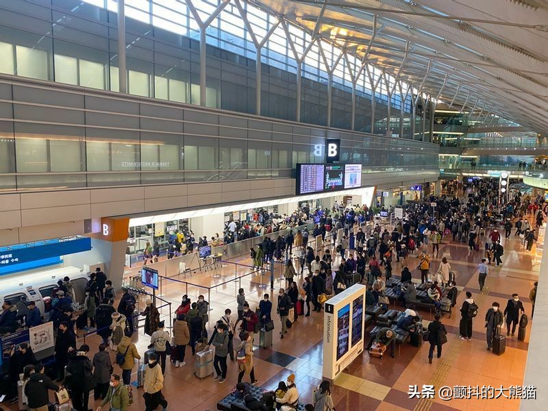 去日本旅游自由行合适吗 (这个月我们可以去日本旅游吗)