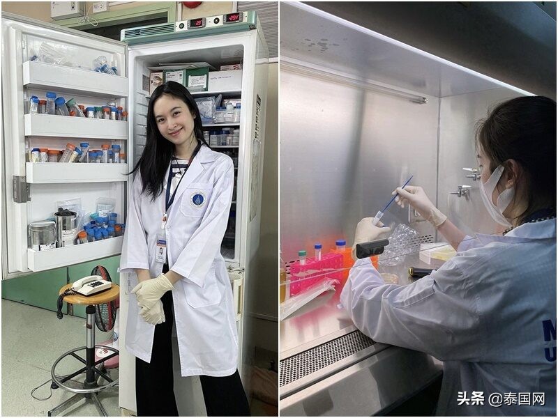 泰国变性宝儿个人资料,泰国变性前的网红宝儿