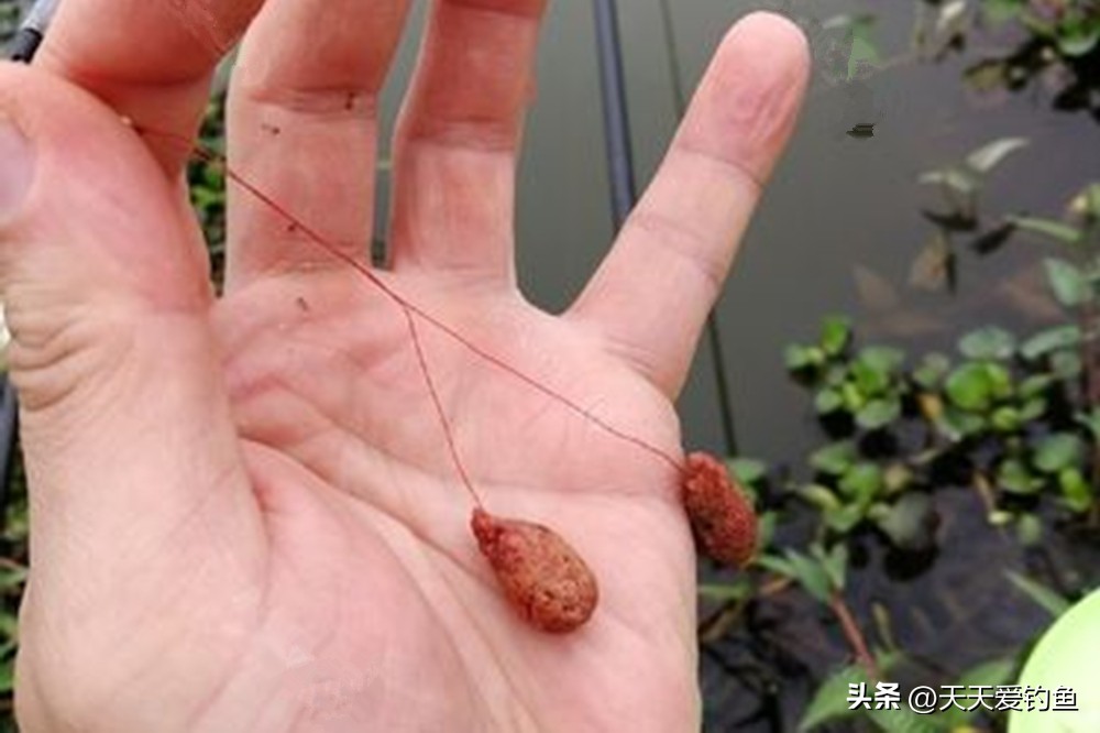 大浮漂小浮漂灵敏度,软尾浮漂和硬尾浮漂区别