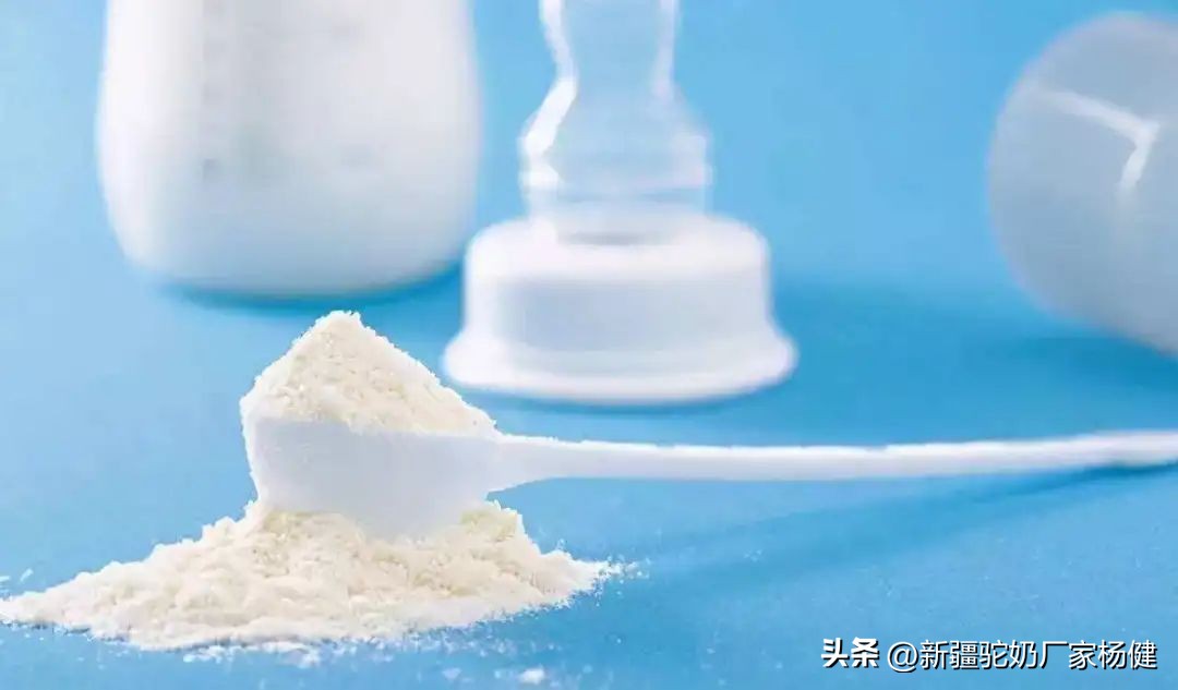 怎么储存奶粉,怎样储存骆驼奶呀