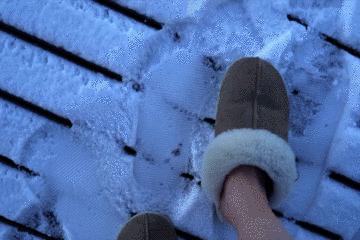 北极圈极夜生活,北极圈的极夜生活