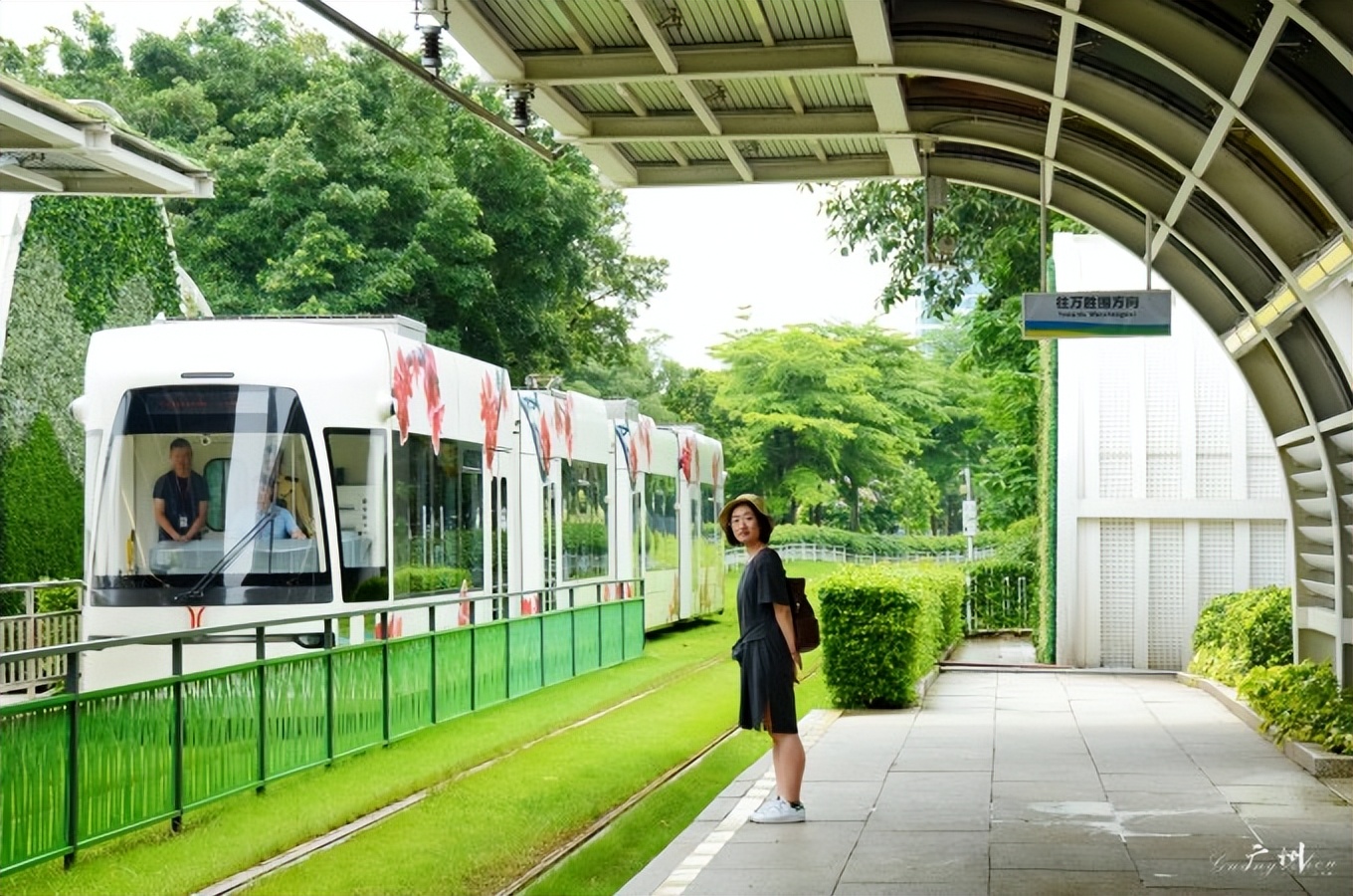 广州游记最值得逛吃的3条路线,广州周边寻味之旅