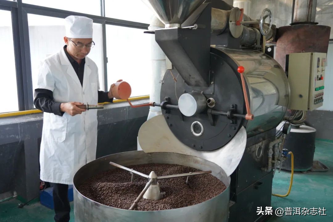 观云台丨云南咖啡是否“香精豆”？我们采访了8位资深从业者……