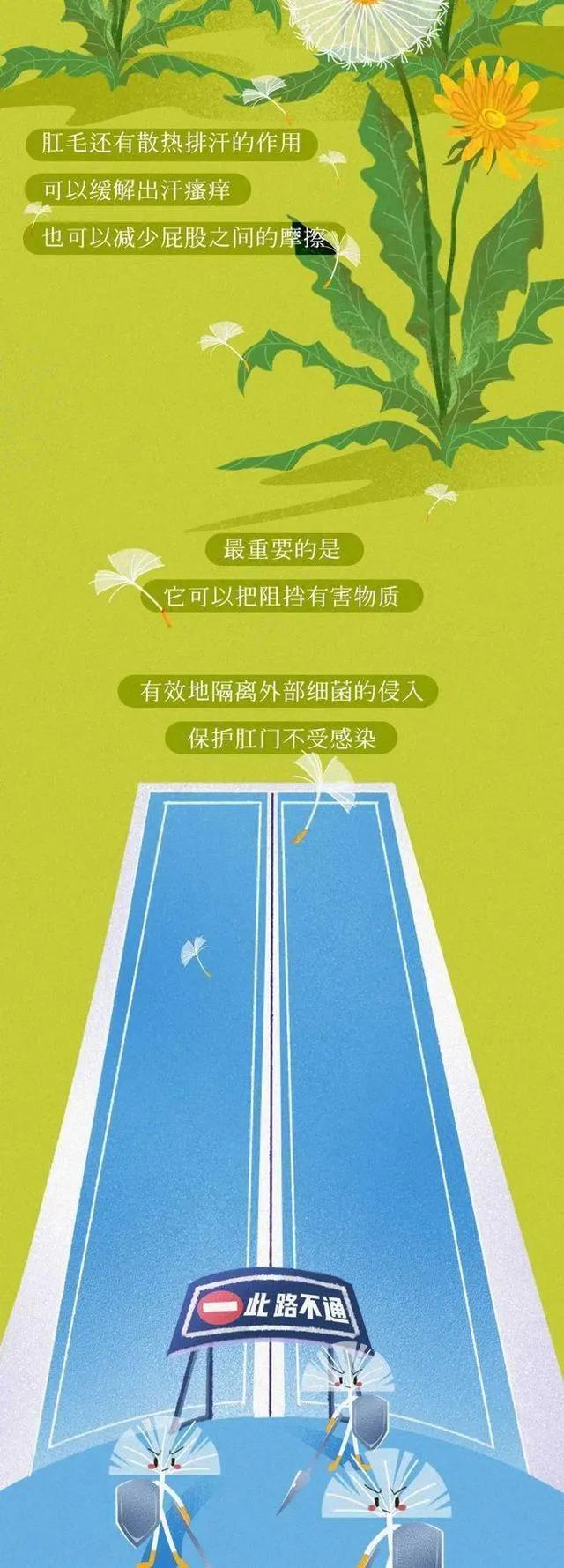 为什么肛门周围也会长“毛”？如果刮掉会怎样？网友：看完明白了