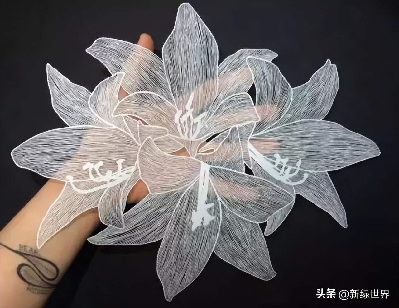 一组纸艺作品,令人惊艳的纸艺作品