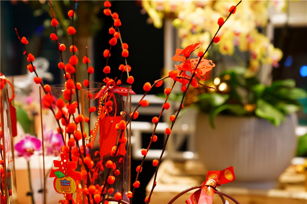 苏州东太湖游玩攻略,新年苏州旅游攻略三天两夜