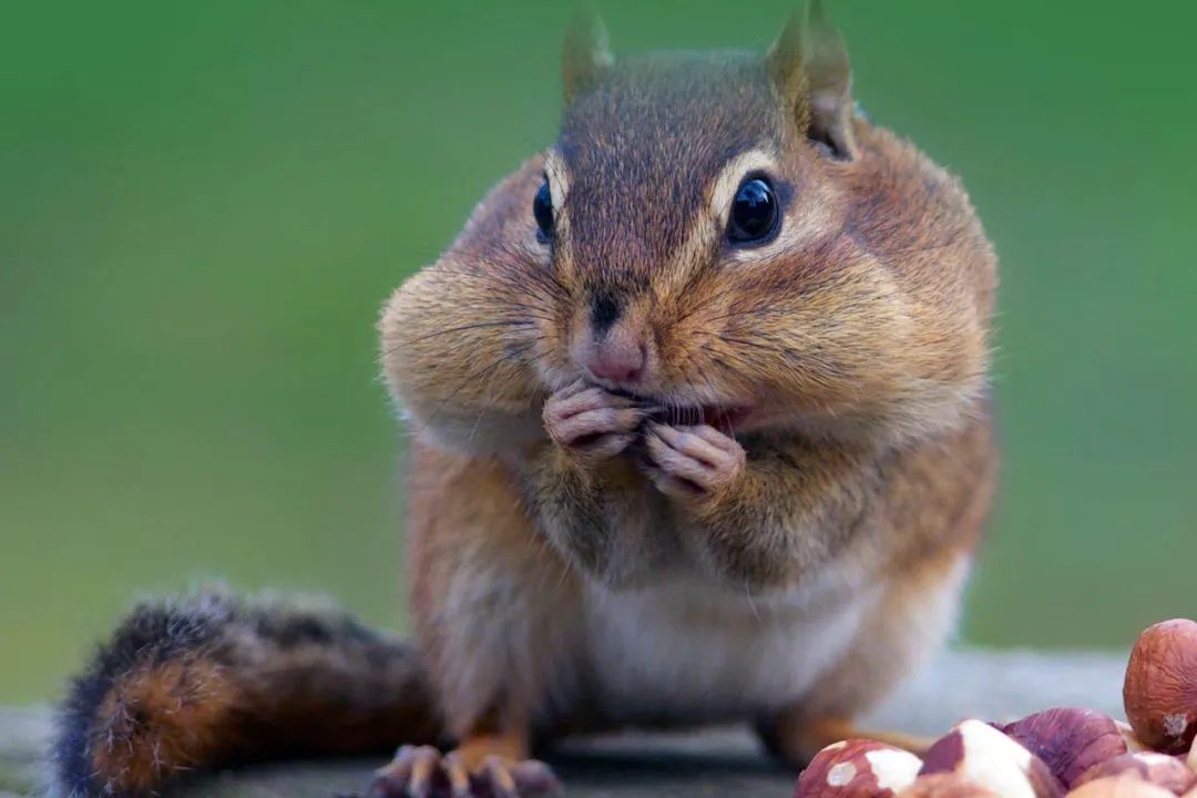 吃饭慢慢咀嚼的好处,每口咀嚼30次有什么好处