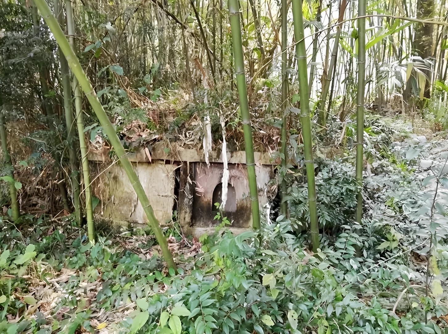 坟前长竹要迁坟是什么意思,坟前有一物子孙后代富