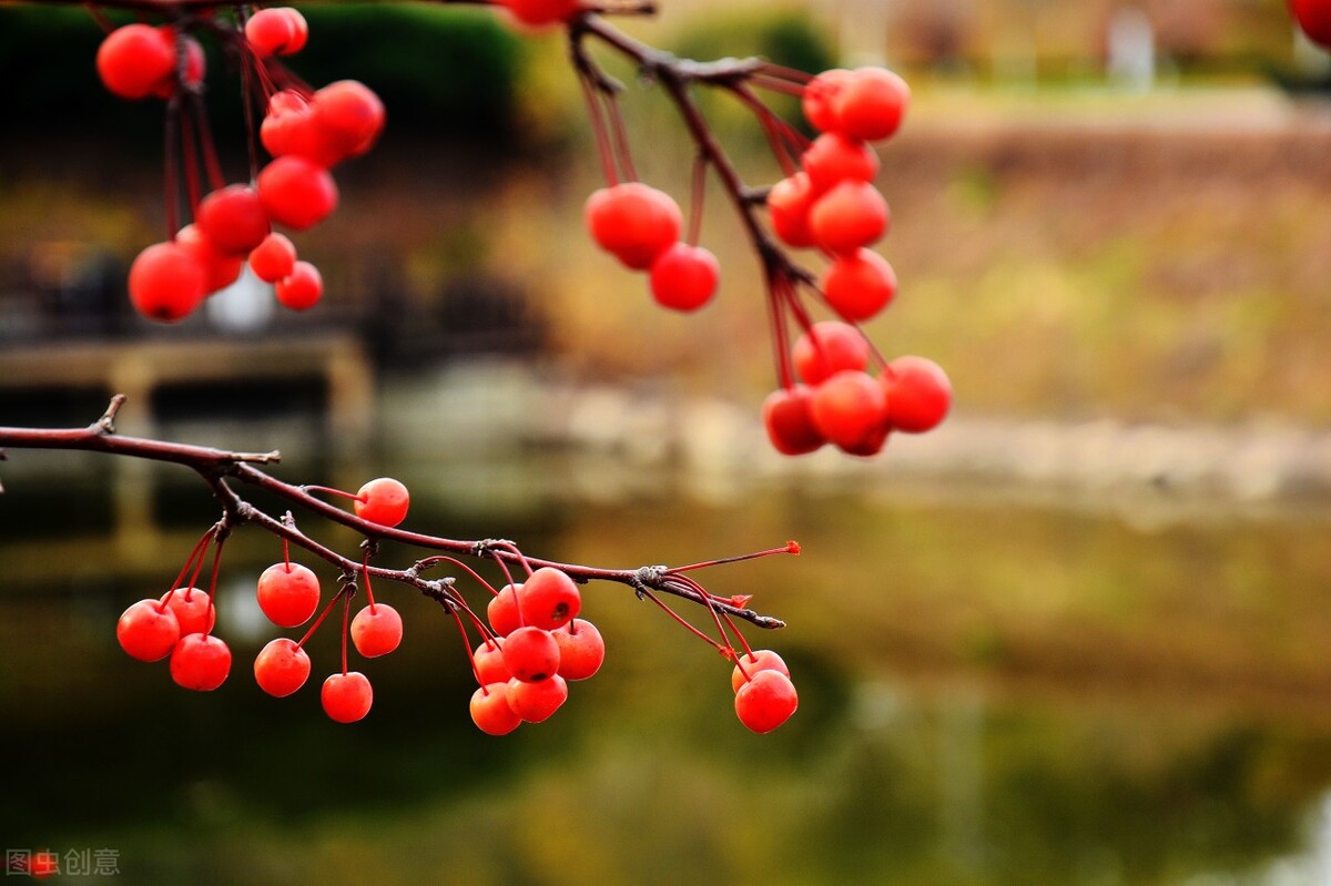 原创诗词集100首,原创诗词大全100首