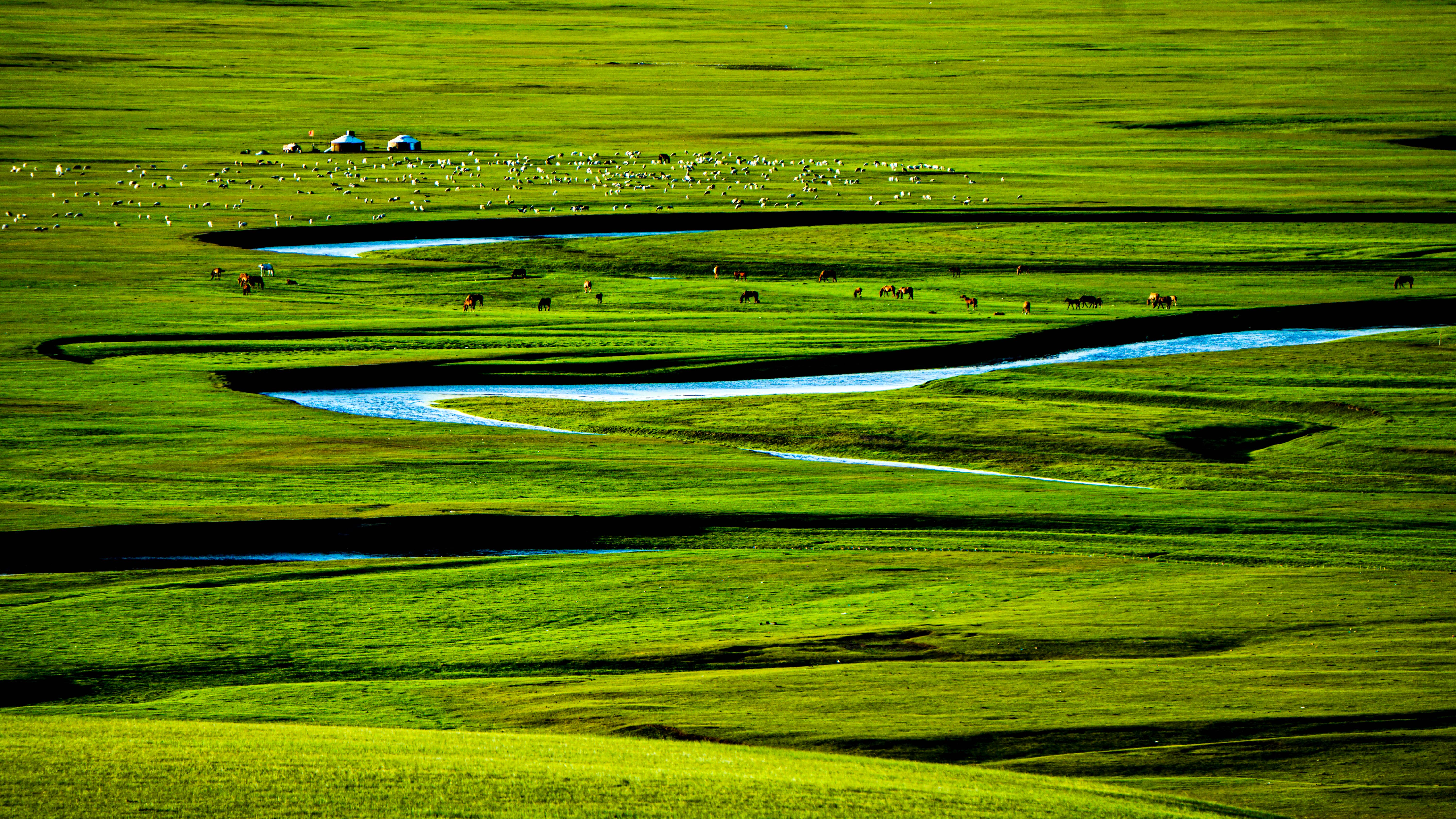 中国风绘本鉴赏方法,幼儿园环创绘本中国风